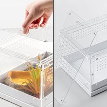 Load image into Gallery viewer, ReptiZoo Acrylic Knock-Down Terrarium