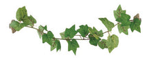 Load image into Gallery viewer, ReptiZoo Magnetic Adhesive Terrarium Plant (Grape Leaves) 25"