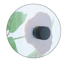 Load image into Gallery viewer, ReptiZoo Magnetic Adhesive Terrarium Plant (Grape Leaves) 25"