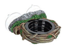 Load image into Gallery viewer, ReptiZoo Feeder Vine Ledge Single \ Double