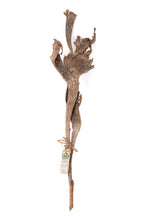 Load image into Gallery viewer, NewCal Natraj Wood 24+"