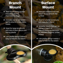 Load image into Gallery viewer, Pangea MicroDish - Branch Mount Kit - Gecko Feeding Dish - Dual Extra Small