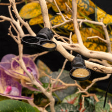 Load image into Gallery viewer, Pangea MicroDish - Branch Mount Kit - Gecko Feeding Dish - Dual Extra Small