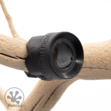 Load image into Gallery viewer, Pangea MicroDish - Branch Mount Kit - Gecko Feeding Dish - Small