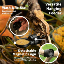 Load image into Gallery viewer, Pangea MicroDish - Branch Mount Kit - Gecko Feeding Dish - Small