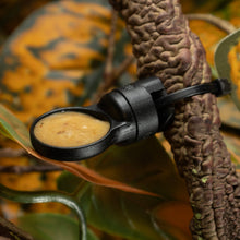 Load image into Gallery viewer, Pangea MicroDish - Branch Mount Kit - Gecko Feeding Dish - Small