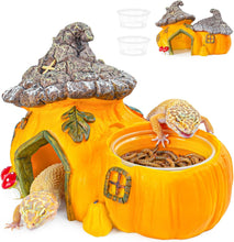 Load image into Gallery viewer, ReptiZoo Multifunctional Pumpkin Hide Castle