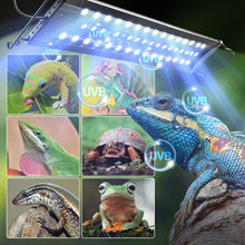 Load image into Gallery viewer, ReptiZoo Reptile Ultra-Thin LED \ UVB Lighting Hood