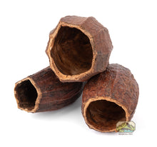 Load image into Gallery viewer, NewCal Cocoa Pod 5-7"