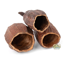 Load image into Gallery viewer, NewCal Cocoa Pod 5-7"