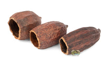 Load image into Gallery viewer, NewCal Cocoa Pod 5-7"