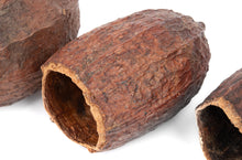 Load image into Gallery viewer, NewCal Cocoa Pod 5-7"