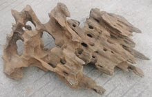 Load image into Gallery viewer, Aquaglobe Shrimpwood