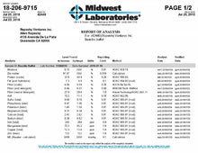 Load image into Gallery viewer, Repashy Beardie Buffet