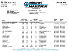 Load image into Gallery viewer, Repashy Gecko Diet Pineapple Express