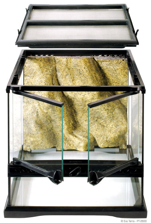 Exo Terra Glass Terrarium