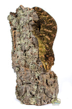 Load image into Gallery viewer, [ID:TCANPF]
