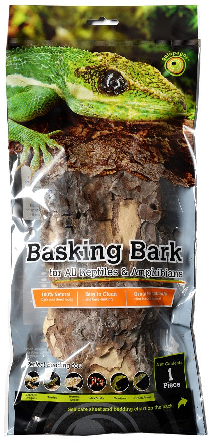Galapagos Basking Bark, 12"-15"