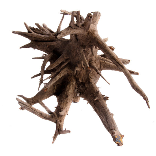 AquaGlobe Jangle Wood