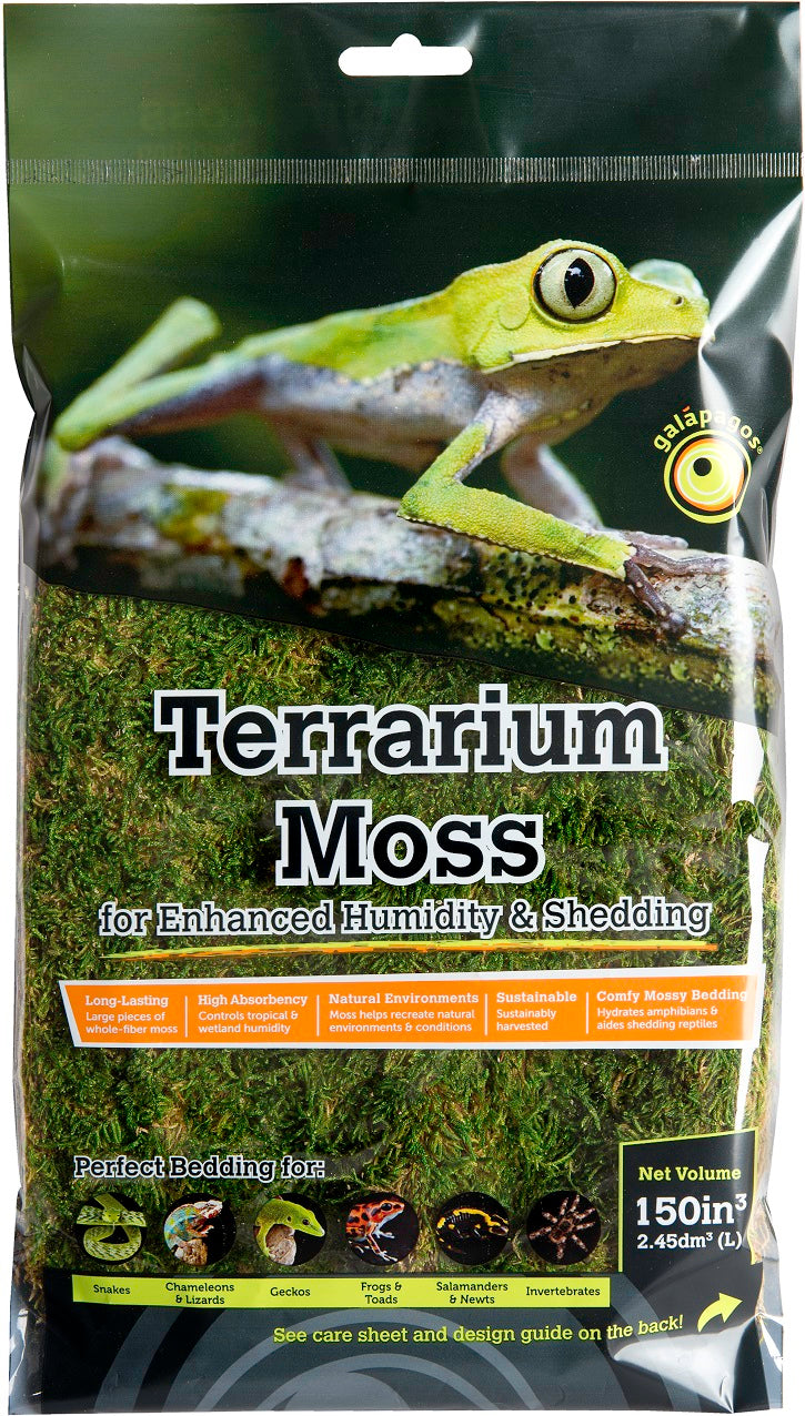 Galapagos Sheet Moss