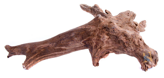 AquaGlobe Pacific Wood