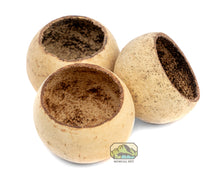 Load image into Gallery viewer, [ID:55ZNKA]
