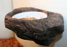 Load image into Gallery viewer, MagNaturals Worm Feeder Ledge
