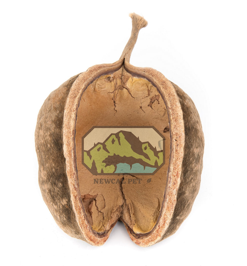 NewCal Buddha Nut