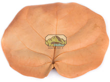 Load image into Gallery viewer, [ID:NLQNXR]
