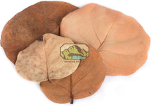 Load image into Gallery viewer, [ID:GQUNXQ]
