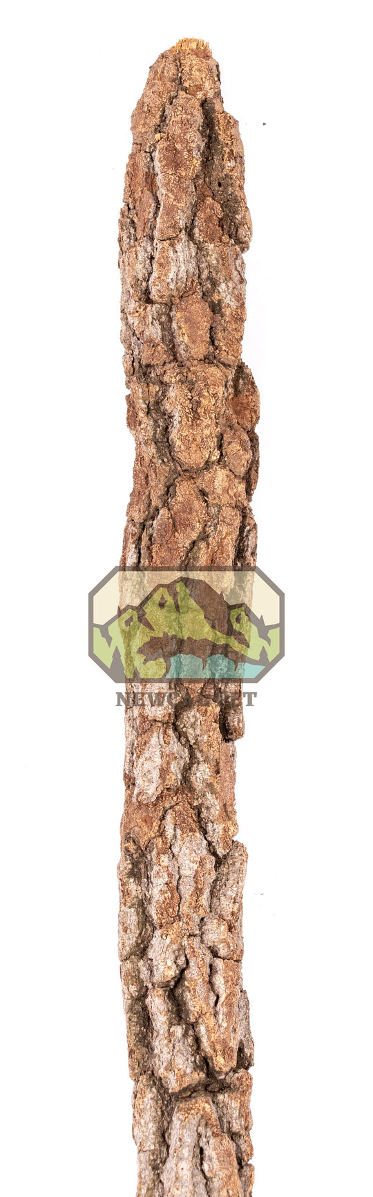 NewCal Natural Cork Galho Estrela Branch Thin (1-1.5" Dia.)