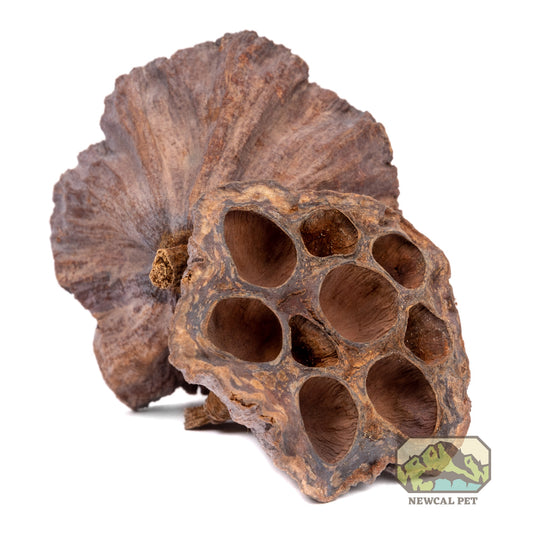 NewCal Lotus Pods, 3-Pack