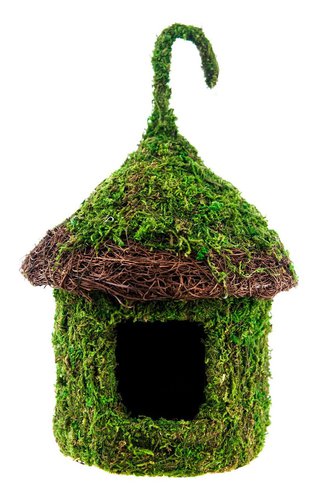 Galapagos Rimmed Bungalow Mossy Hide \ Bird House 6" x 7"