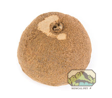 Load image into Gallery viewer, [ID:W4ZNVO]
