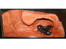 Load image into Gallery viewer, [ID:OHBYFQ]
