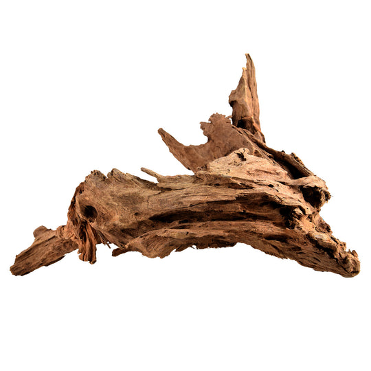NewCal Malaysian Driftwood