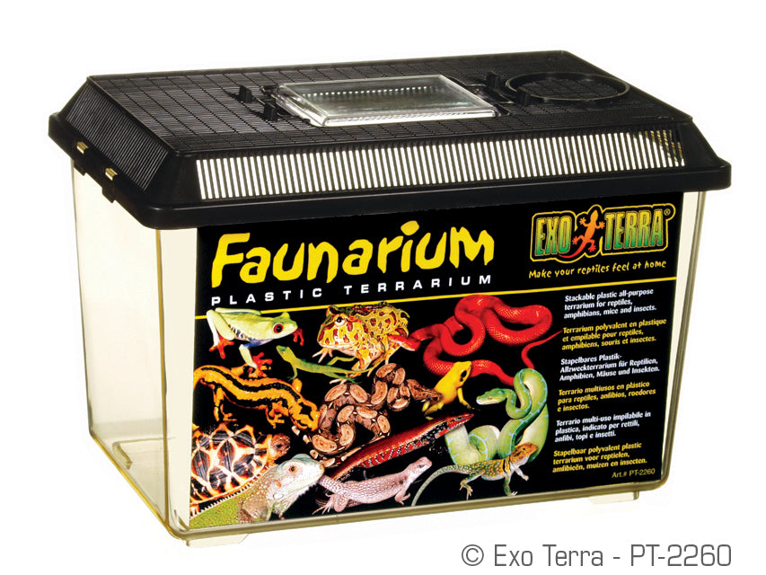 Exo Terra Faunarium – Northern Gecko Inc