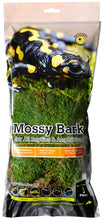 Load image into Gallery viewer, Galapagos Basking Bark, 12&quot;-15&quot;
