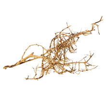Load image into Gallery viewer, Bird Nest Wood
