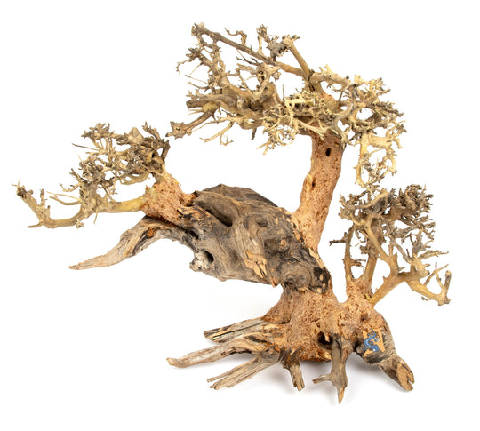 AquaGlobe Corcovado Wood