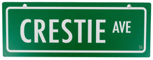 Load image into Gallery viewer, C3 Street Novelty Sign
