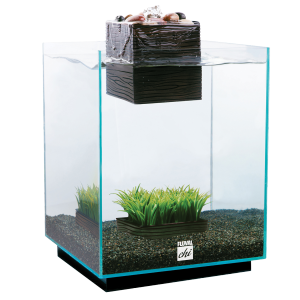 chi fish tank accessories Fluval 5 Gallon Desktop Aquarium – Northern Gecko Inc fish and your choice Model:700XH 4-Pack Fishing Rod Holders series:Abu_Garcia_Power_Handle