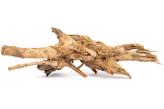 AquaGlobe Congo Wood