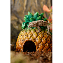 Load image into Gallery viewer, Exo Terra Pineapple Hide
