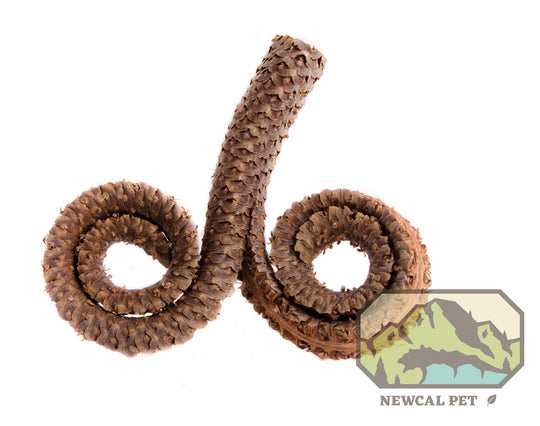 NewCal Ram's Head Seed Pods, 2-Pack