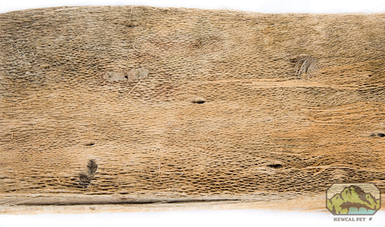 NewCal Cactus Bark, 2 oz.