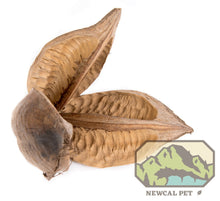 Load image into Gallery viewer, NewCal Sororcoa Pod
