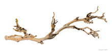 Load image into Gallery viewer, Exo Terra Forest Branch
