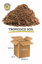 Load image into Gallery viewer, [ID:D7KZA6]
