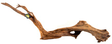 Load image into Gallery viewer, Galapagos Sinkable Driftwood
